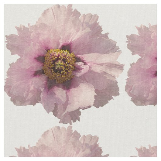 Tissu Rose de Pavot (Fermer)