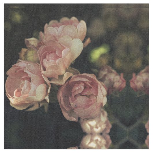 Tissu Roses (Fermer)