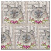 Tissu Roses de chats Ragdoll (Fermer)