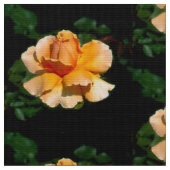 Tissu Roses d'été (Fermer)