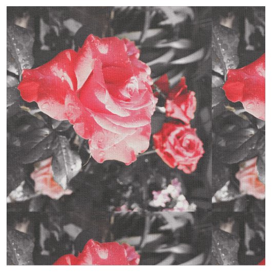 Tissu Roses rouges romantiques (Fermer)