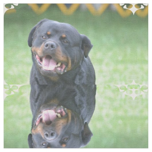 Tissu Rottweiler de sourire (Fermer)