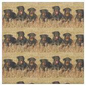 Tissu rottweiler-group.png (Échantillon)