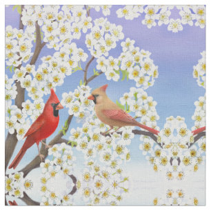 Tissu rouge cardinal de couples d'oiseau