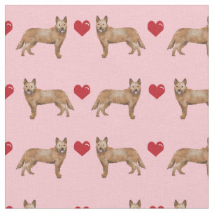 Tissu rougeur de chien de race australienne aime les coe