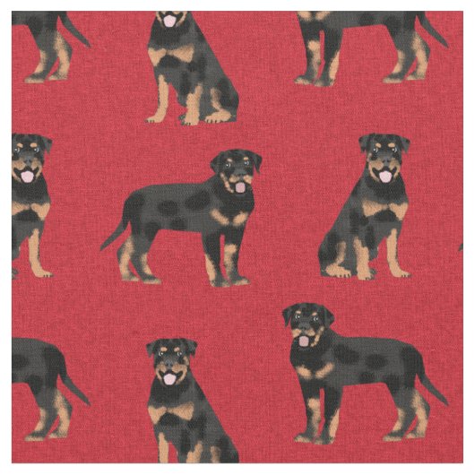 Tissu rougeur de chien de rottweiler (Fermer)