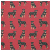 Tissu rougeur de chien de rottweiler (Échantillon)