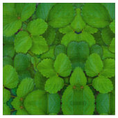 Tissu Saint Basil Tulsi Green Mint Feuilles (Fermer)