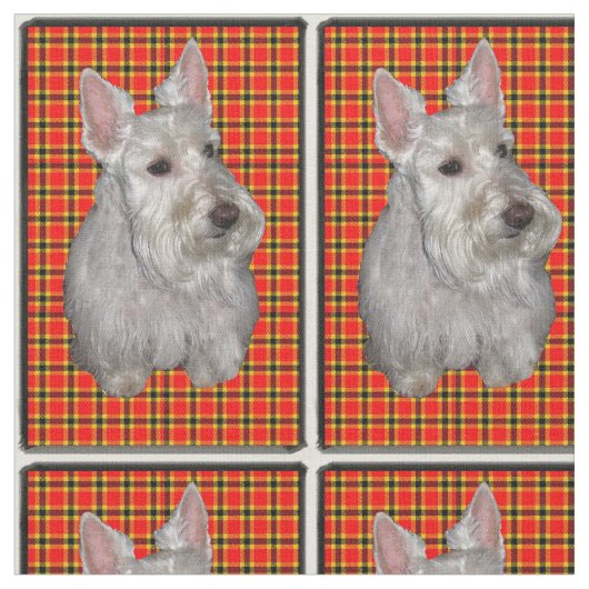 Tissu Scottie sur le plaid (Fermer)