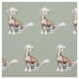 Tissu se reposant crêté chinois d'art de chien