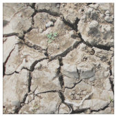 Tissu Sol très sec et criqué (Détail)