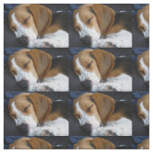 Tissu sommeil de beagle (Échantillon)