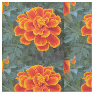 Tissu Souci assez orange