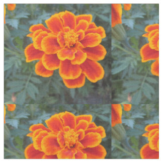 Tissu Souci assez orange