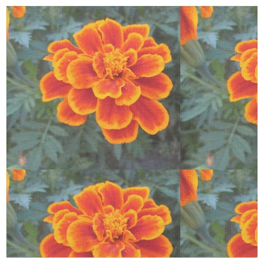 Tissu Souci assez orange (Fermer)