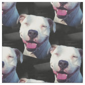 Tissu Sourire (Fermer)