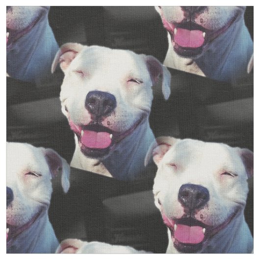 Tissu Sourire (Fermer)