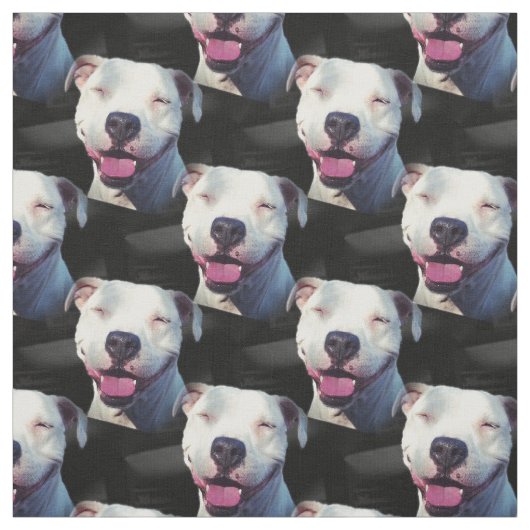 Tissu Sourire (Échantillon)