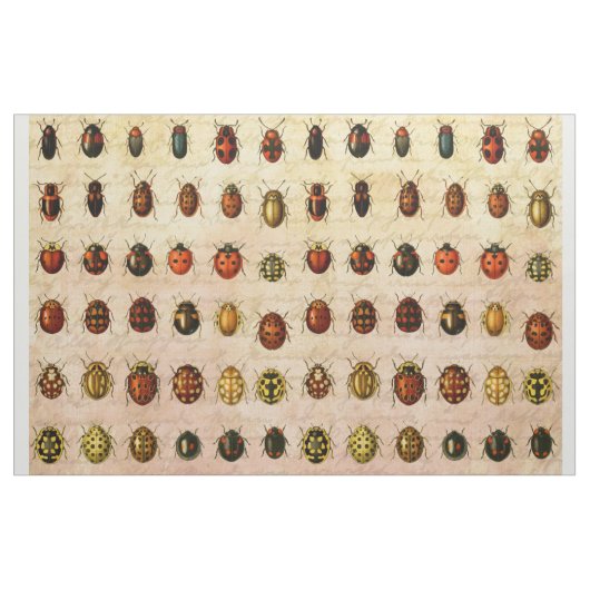 Tissu Spécimen de coccinelle vintage Motif Insecte antiq (Yard)