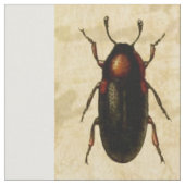 Tissu Spécimen de coccinelle vintage Motif Insecte antiq (Fermer)