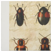 Tissu Spécimen de coccinelle vintage Motif Insecte antiq (Échantillon)