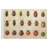 Tissu Spécimen de coccinelle vintage Motif Insecte antiq (Fat Quarter)