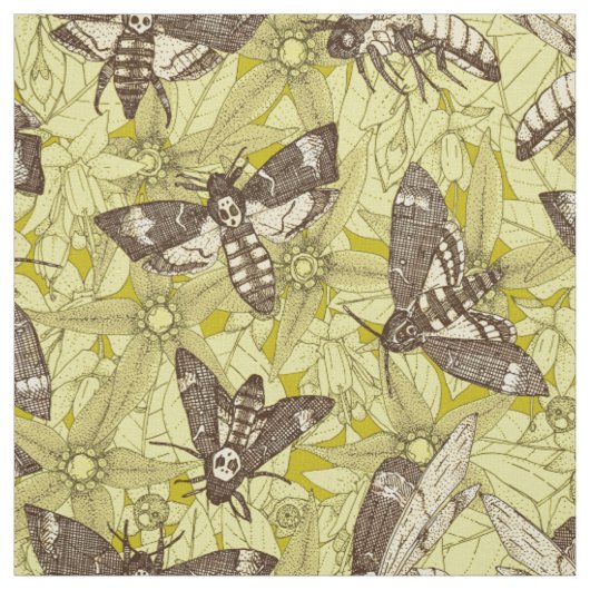 Tissu Sphinx tête de mort chartreuse (Échantillon)