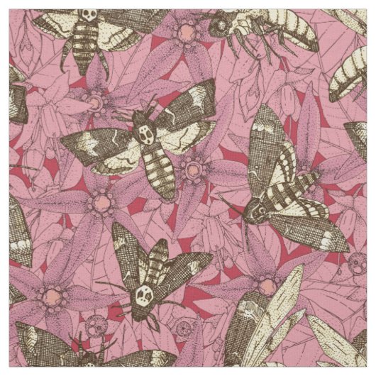 Tissu Sphinx tête de mort rose (Échantillon)
