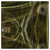 Tissu Spider plante..... (Fermer)