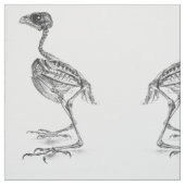 Tissu Squelette vintage de bébé oiseau gravure (Échantillon)