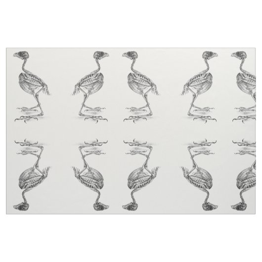 Tissu Squelette vintage de bébé oiseau gravure (Fat Quarter)