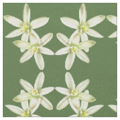 Tissu Star of Bethlehem Flower Fabric (Fermer)