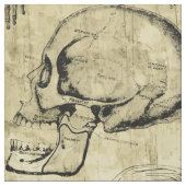 Tissu Structure anatomique vintage (Échantillon)