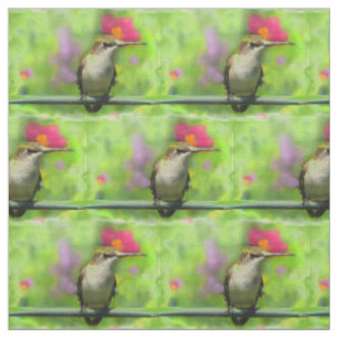 Tissu Structure de colibri
