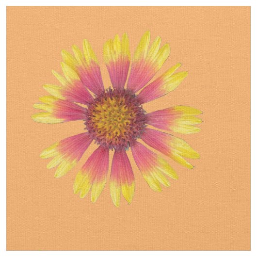 Tissu Structure de conception de couverture indienne (Fermer)