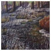 Tissu Structure de vie de Creek (Fermer)