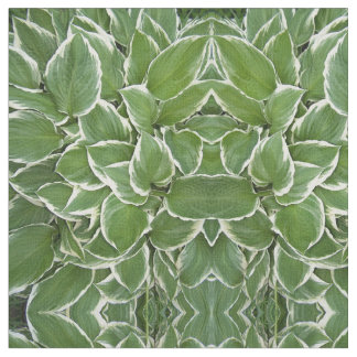 Tissu Structure d'image miroir des Feuilles Hosta