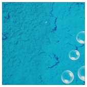 Tissu Surfer, planche de surf (Échantillon)