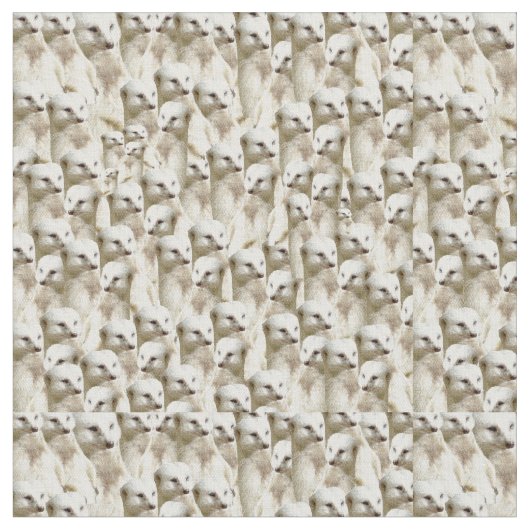 Tissu Suricates blancs, (Fermer)