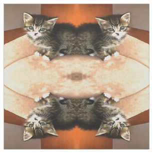 Tissu Tabby Cat Kitten Portrait pour animaux