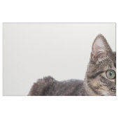 Tissu Tabby Gris (Fat Quarter)