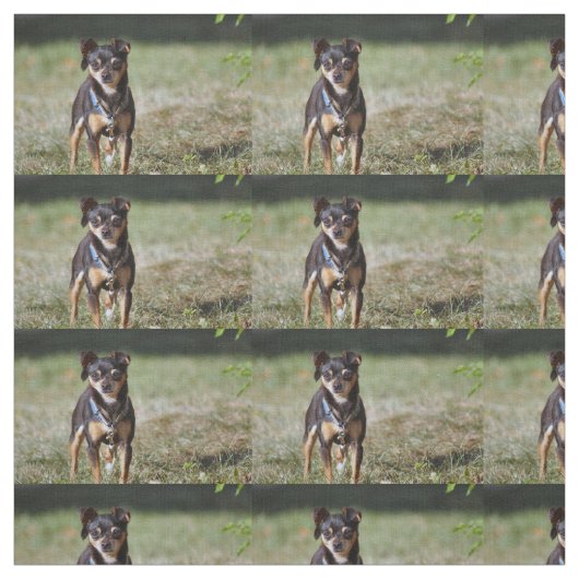 Tissu Taco (Échantillon)