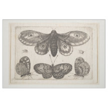 Tapisserie vintage de lépidoptères de papillon de