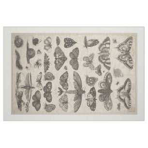 Tissu Tapisserie vintage de lépidoptères d'entomologie