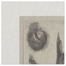 Tapisserie vintage de lépidoptères d'entomologie