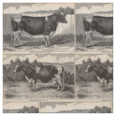 Tissu Taureau du Holstein d'impression et copie du 19ème (Fermer)