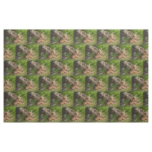 Tissu Tendre Mère Moose (Fat Quarter)