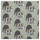 Tissu Terrier de Boston (Échantillon)