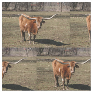 Tissu Texas Long Horns!