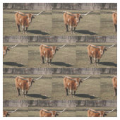 Tissu Texas Long Horns ! (Échantillon)